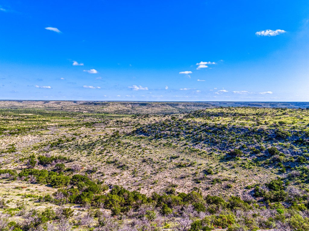 935 Deer Run Rd, Ozona, Texas image 13