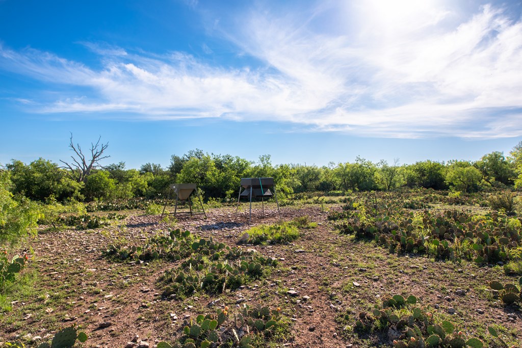 - Eor-north Spur Rd, Eden, Texas image 8