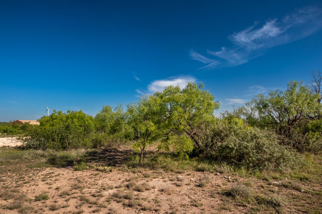 - Eor-north Spur Rd, Eden, Texas image 22