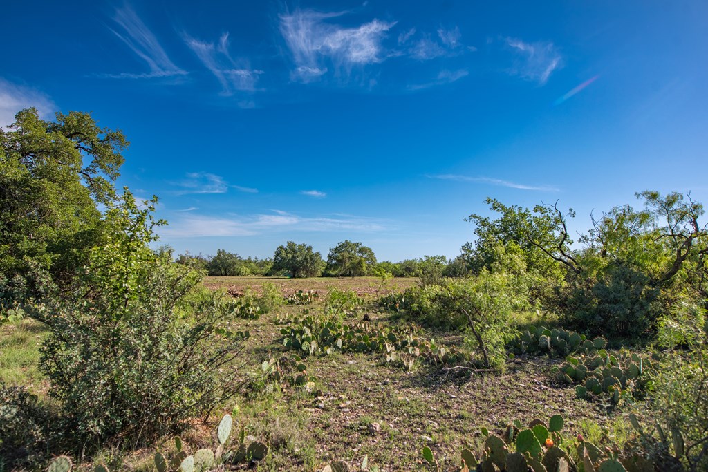 - Eor-north Spur Rd, Eden, Texas image 25