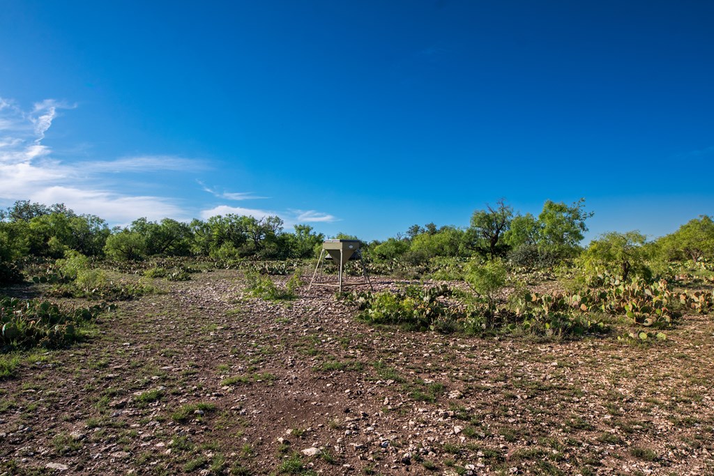 - Eor-north Spur Rd, Eden, Texas image 11