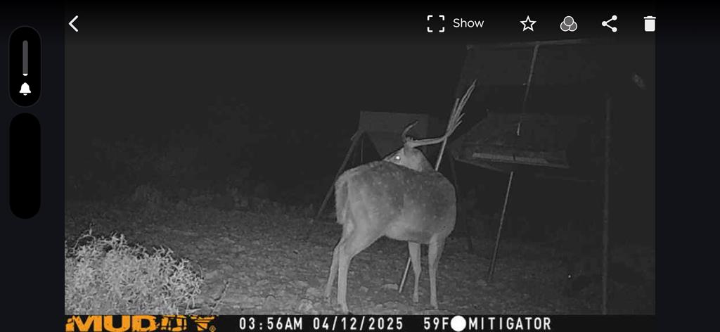 - Eor-north Spur Rd, Eden, Texas image 31