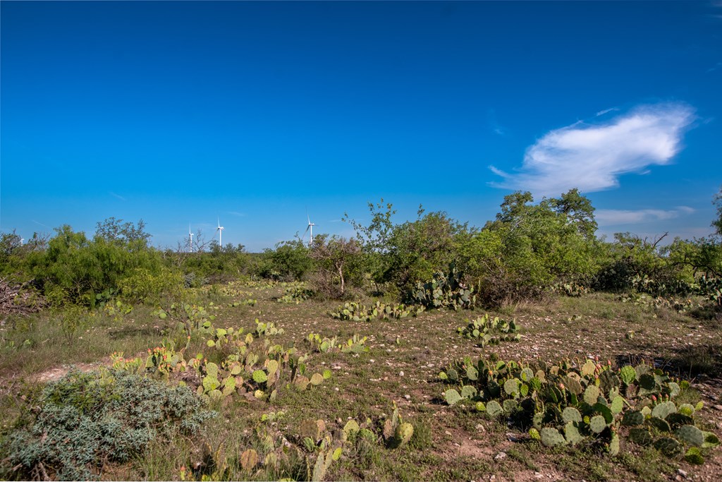 - Eor-north Spur Rd, Eden, Texas image 23