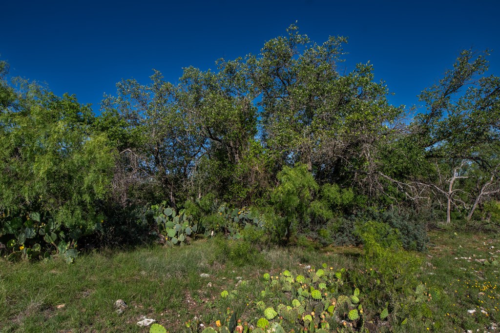 - Eor-north Spur Rd, Eden, Texas image 12