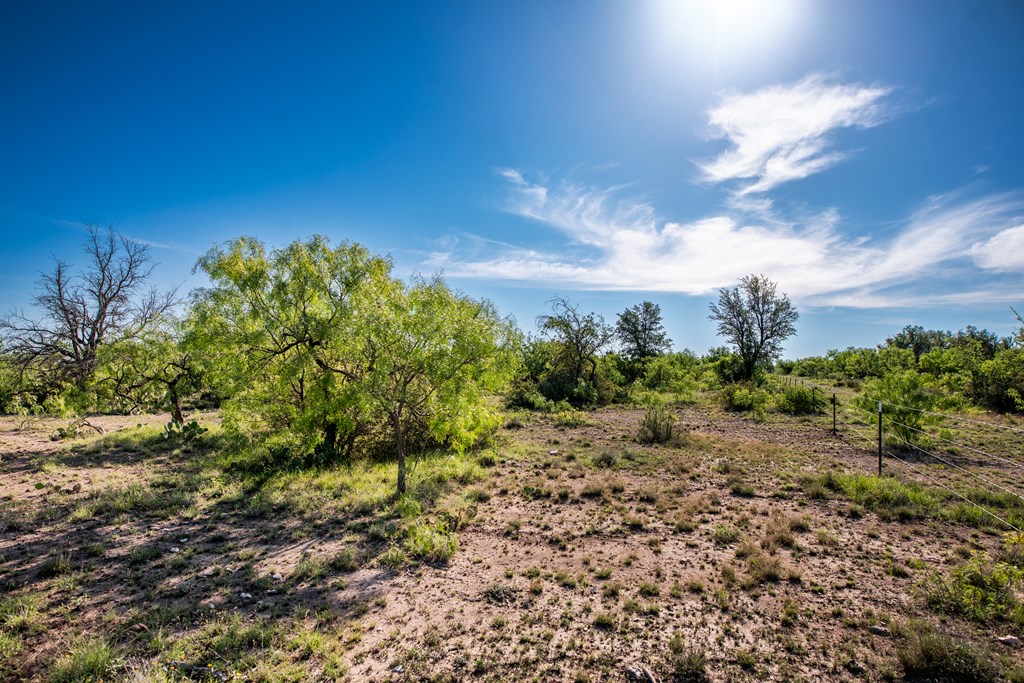 - Eor-north Spur Rd, Eden, Texas image 21