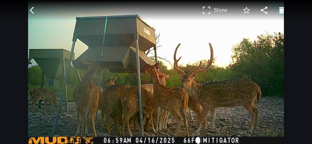 - Eor-north Spur Rd, Eden, Texas image 34