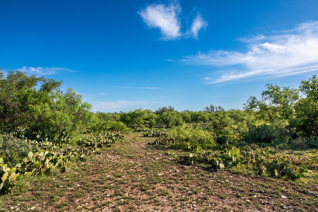 - Eor-north Spur Rd, Eden, Texas image 10
