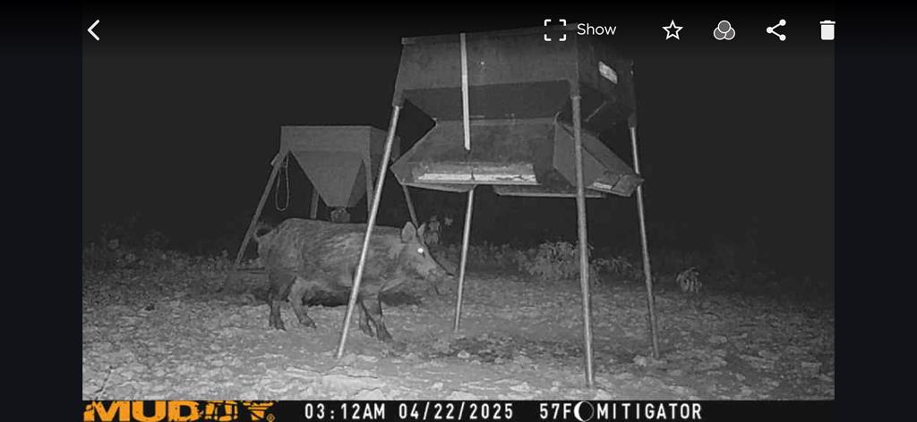 - Eor-north Spur Rd, Eden, Texas image 37
