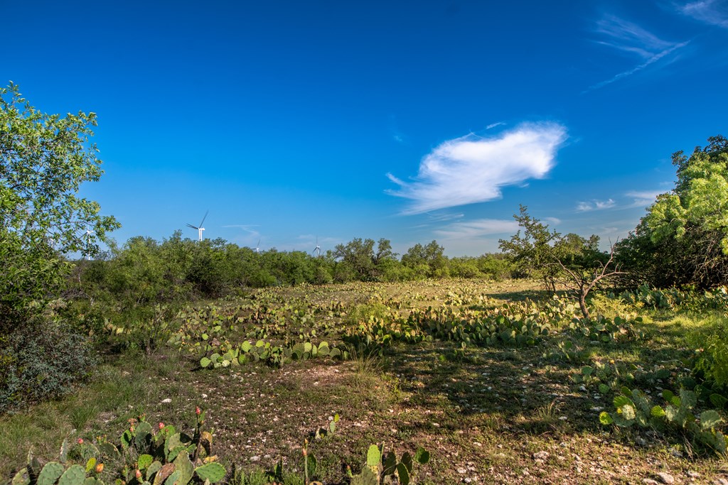 - Eor-north Spur Rd, Eden, Texas image 24