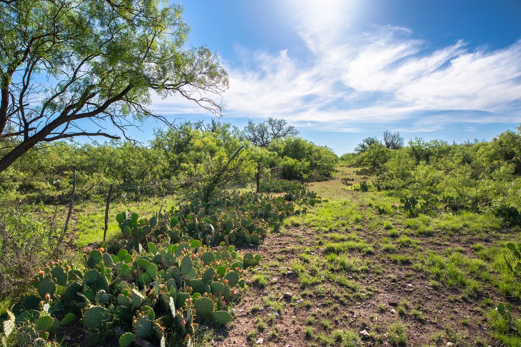 - Eor-north Spur Rd, Eden, Texas image 14