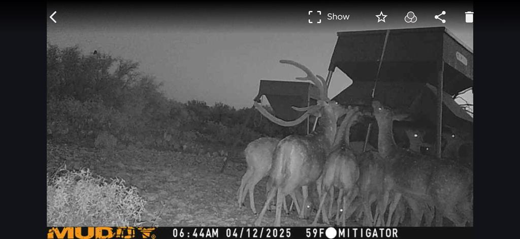 - Eor-north Spur Rd, Eden, Texas image 30