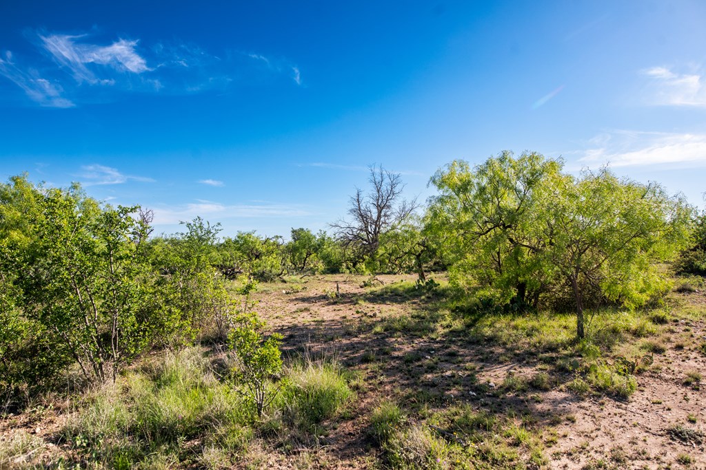 - Eor-north Spur Rd, Eden, Texas image 20