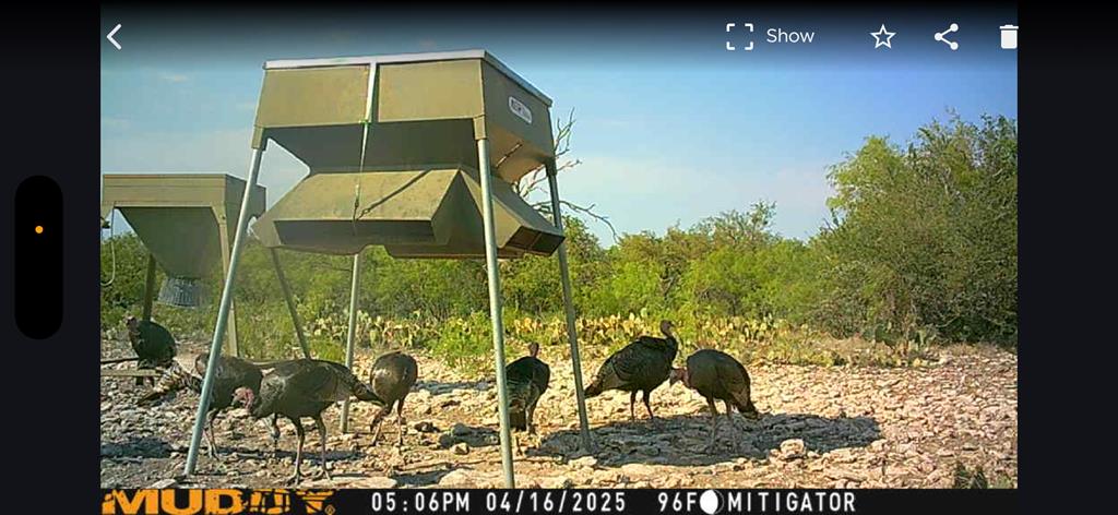 - Eor-north Spur Rd, Eden, Texas image 38