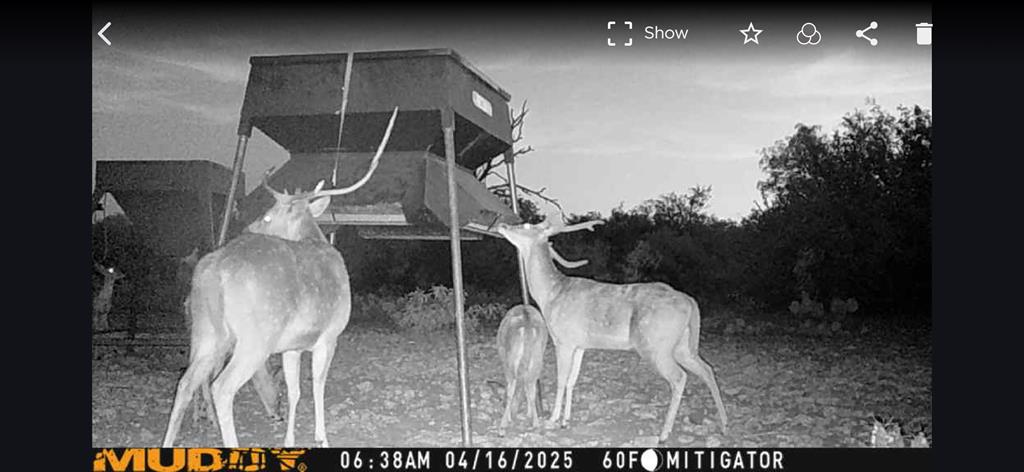 - Eor-north Spur Rd, Eden, Texas image 35