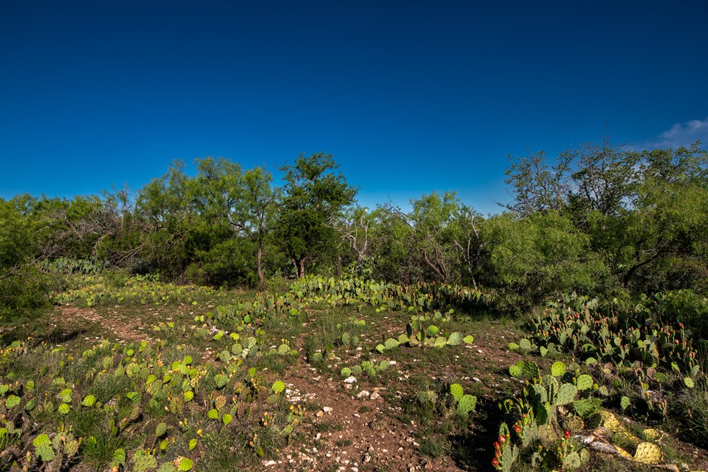 - Eor-north Spur Rd, Eden, Texas image 9