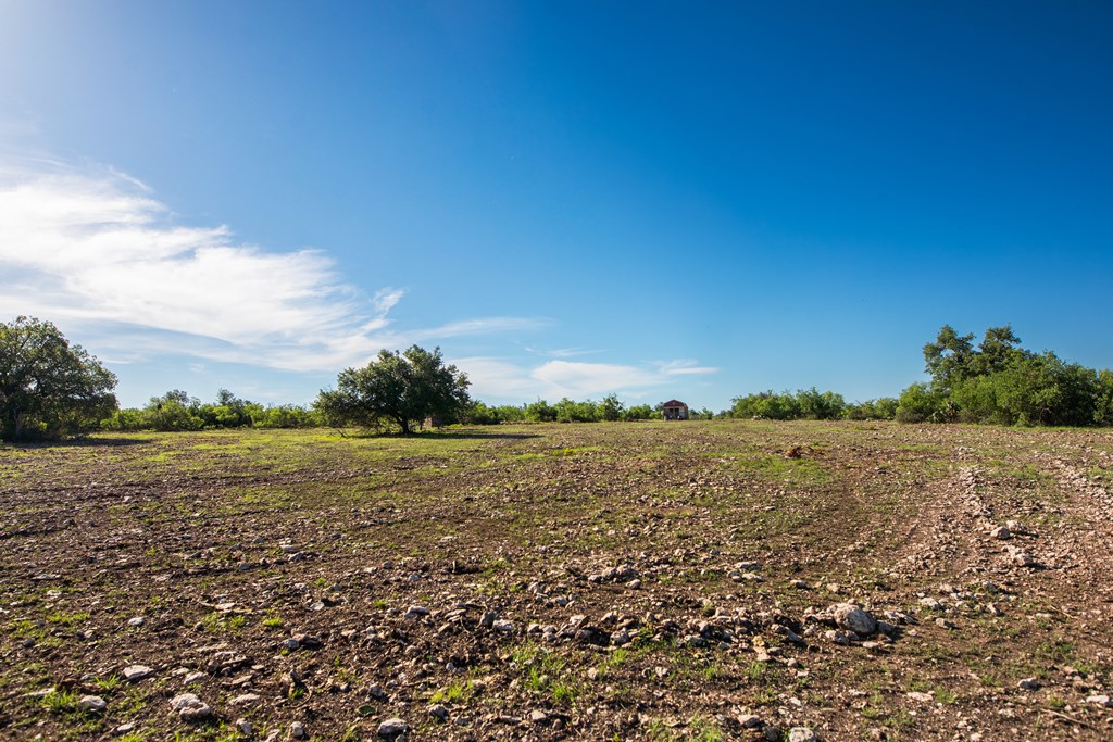 - Eor-north Spur Rd, Eden, Texas image 16