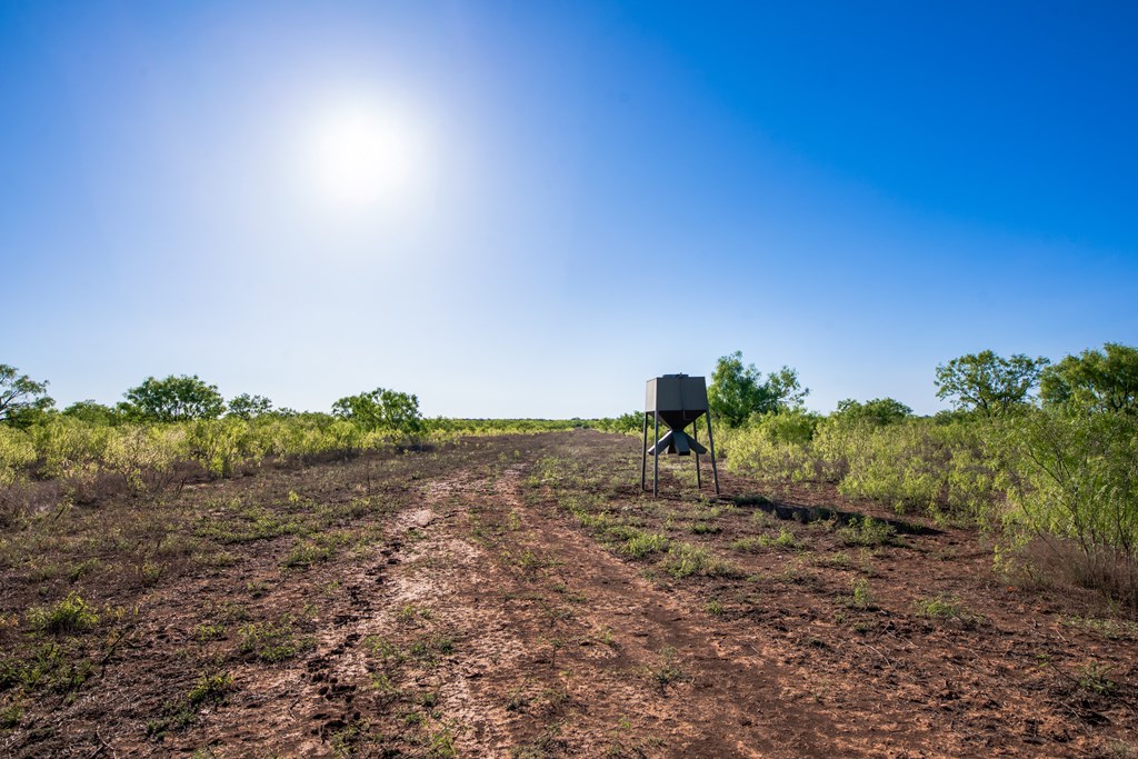 3980 S Other, Eden, Texas image 23