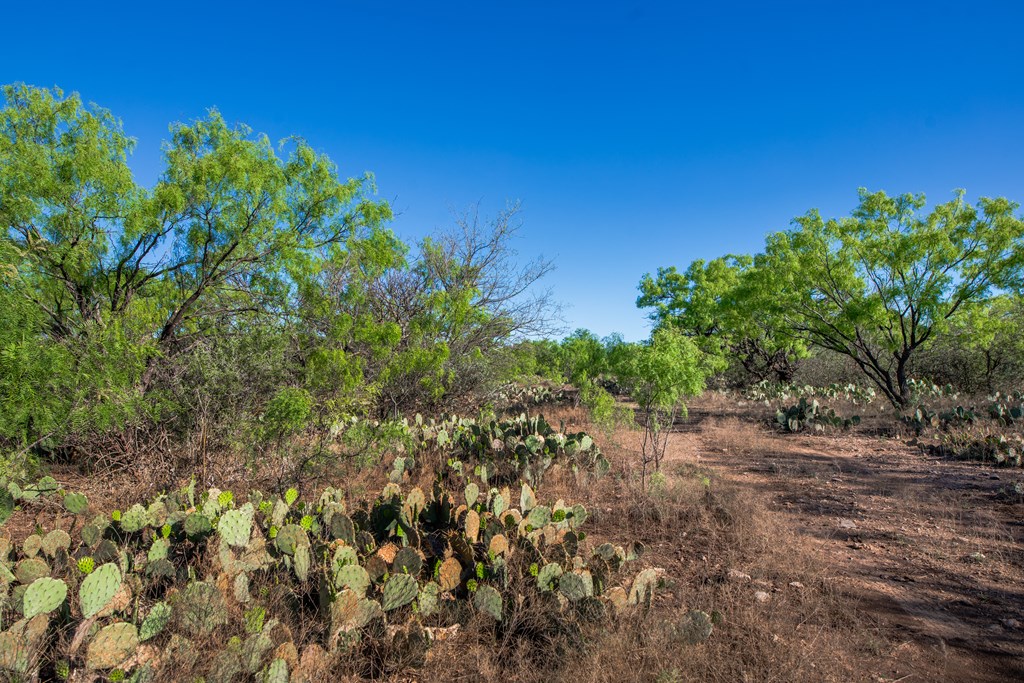 3980 S Other, Eden, Texas image 33