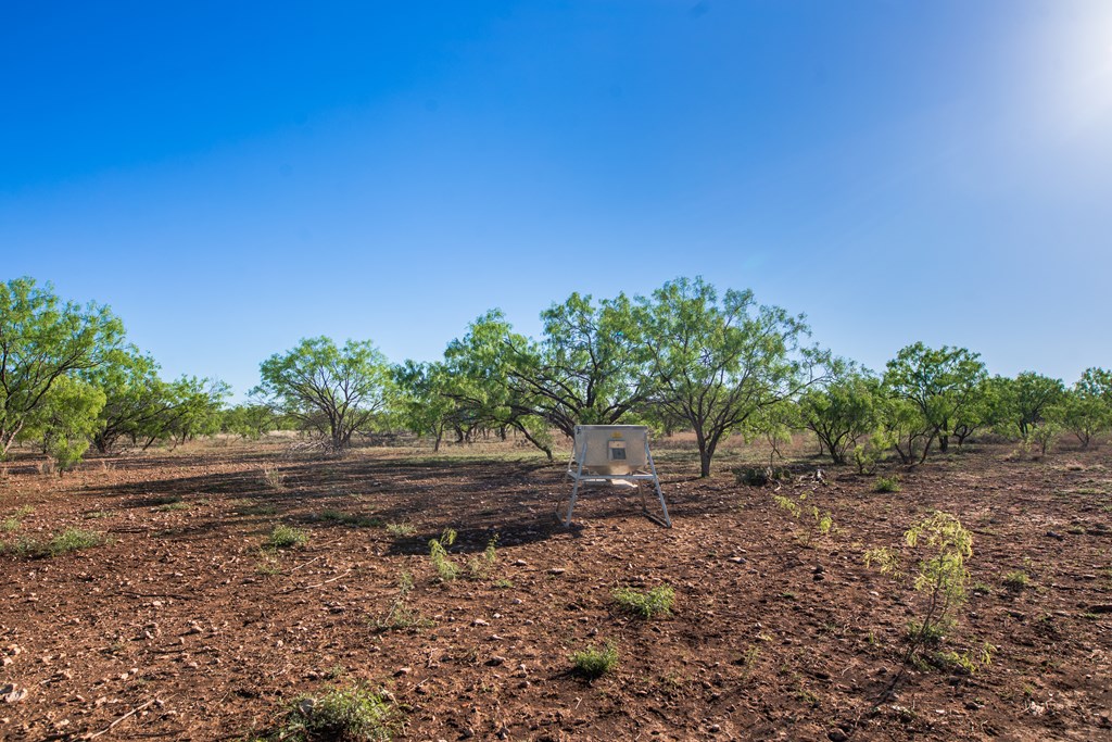 3980 S Other, Eden, Texas image 29
