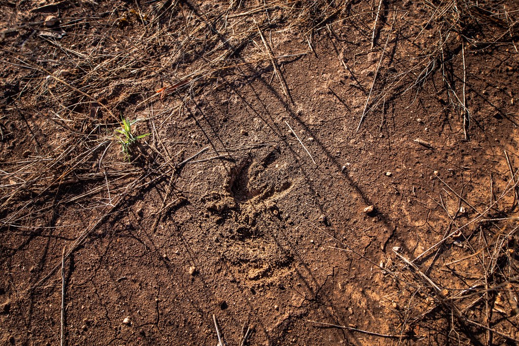 3980 S Other, Eden, Texas image 13