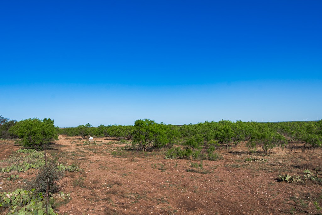 3980 S Other, Eden, Texas image 36