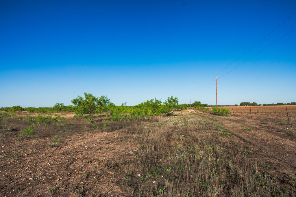 3980 S Other, Eden, Texas image 12