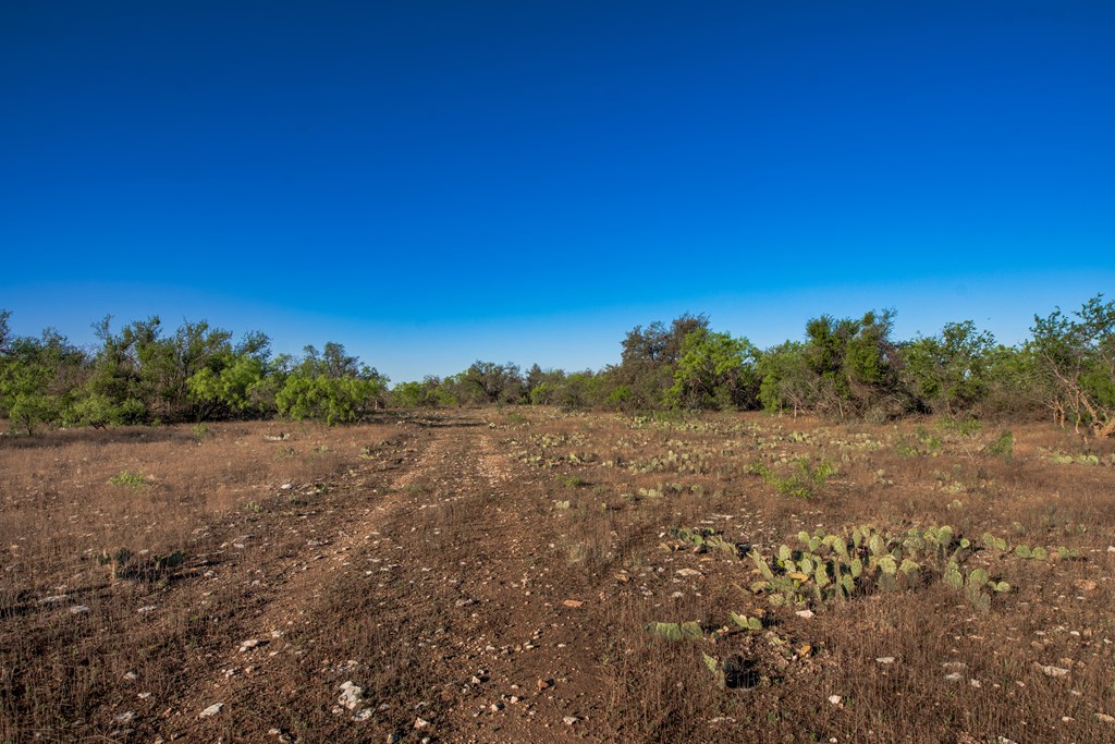 3980 S Other, Eden, Texas image 6