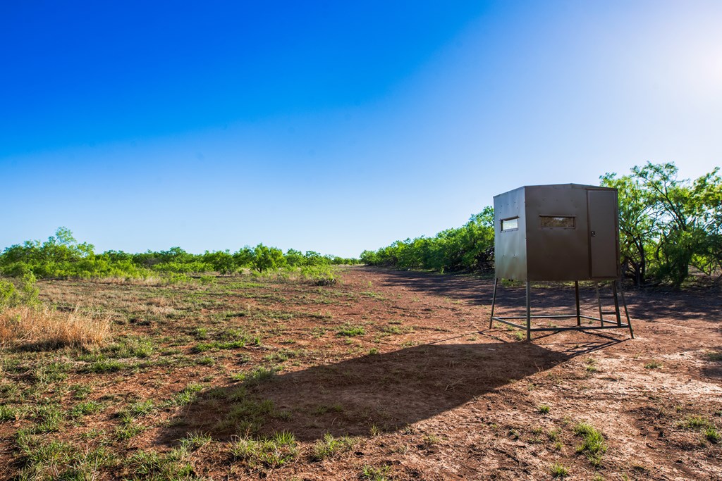 3980 S Other, Eden, Texas image 27