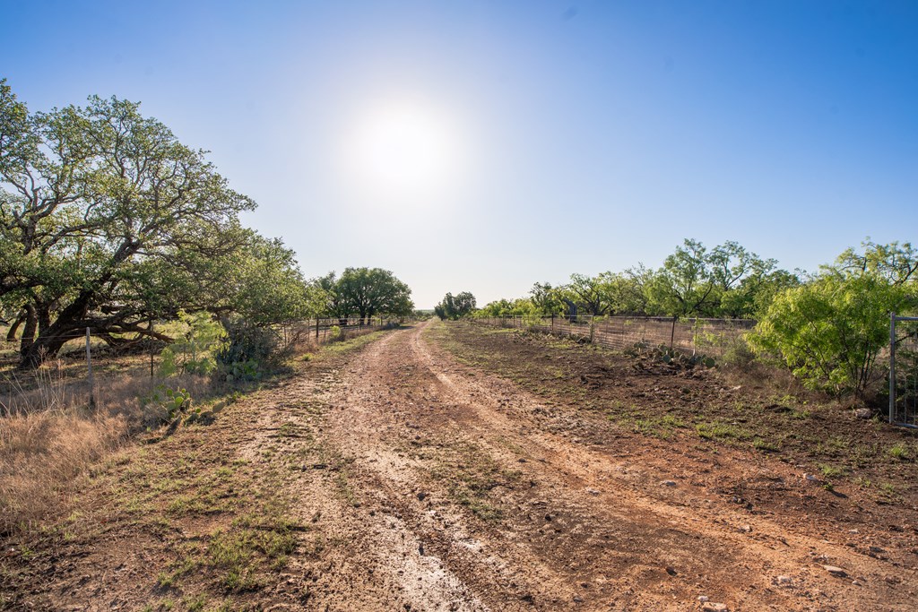 3980 S Other, Eden, Texas image 5