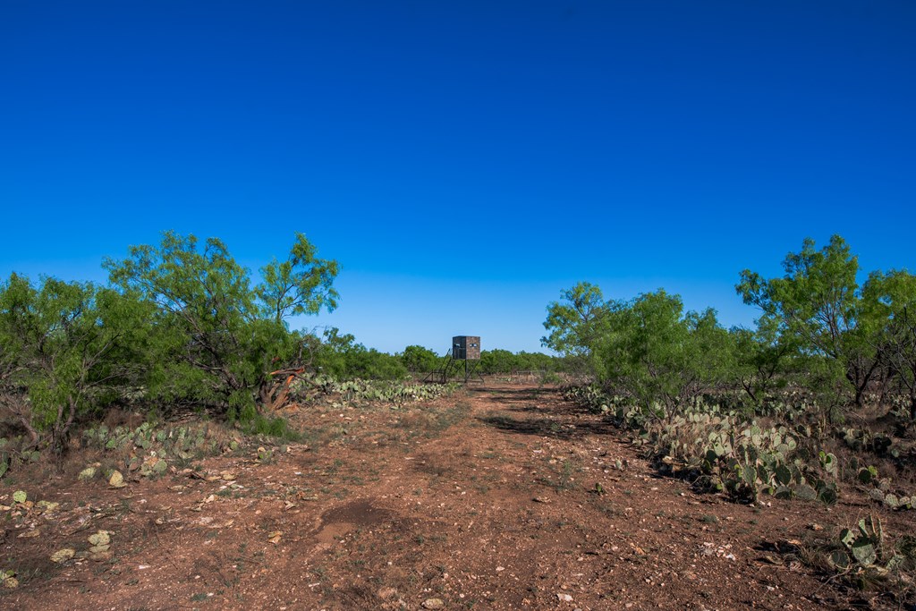 3980 S Other, Eden, Texas image 35