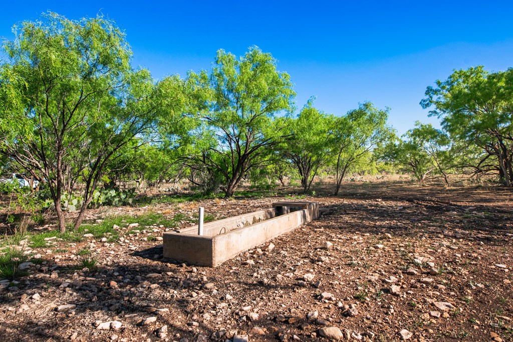 3980 S Other, Eden, Texas image 41