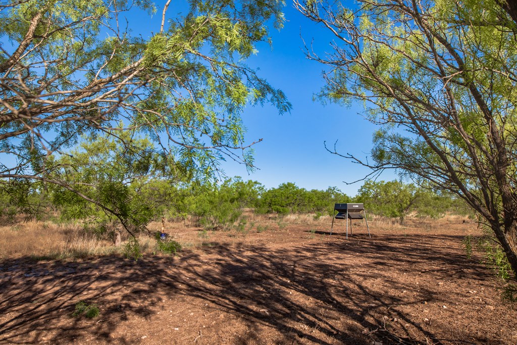 3980 S Other, Eden, Texas image 44