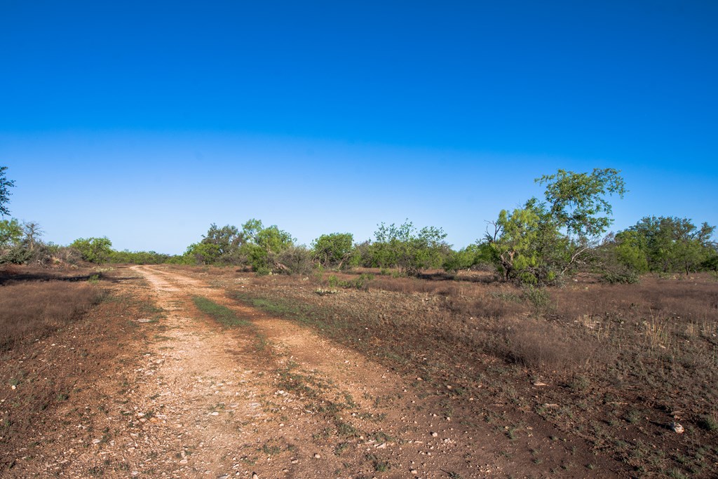 3980 S Other, Eden, Texas image 4