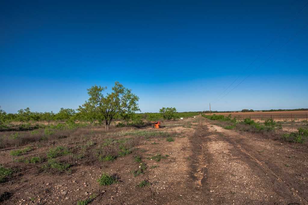 3980 S Other, Eden, Texas image 10