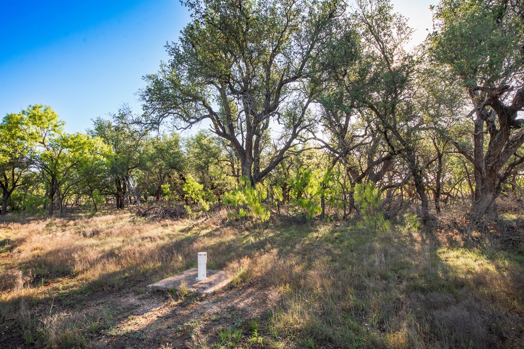 3980 S Other, Eden, Texas image 17