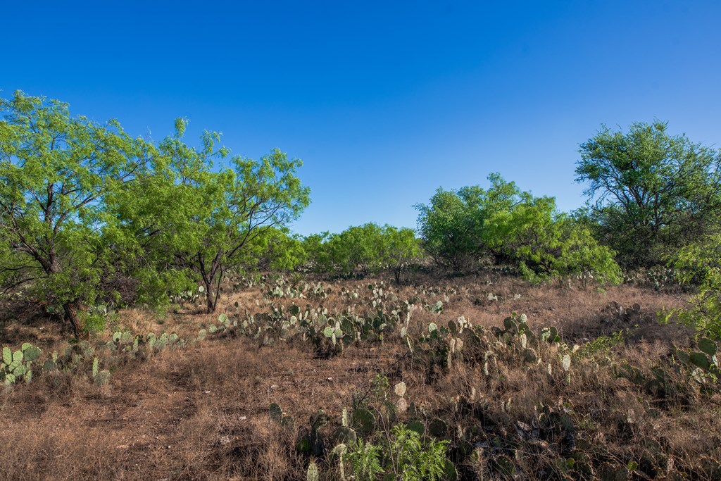 3980 S Other, Eden, Texas image 34