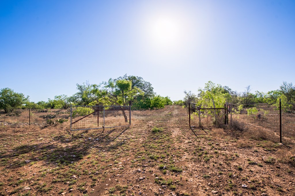 3980 S Other, Eden, Texas image 30