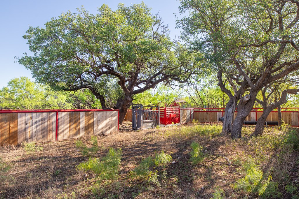 3980 S Other, Eden, Texas image 49