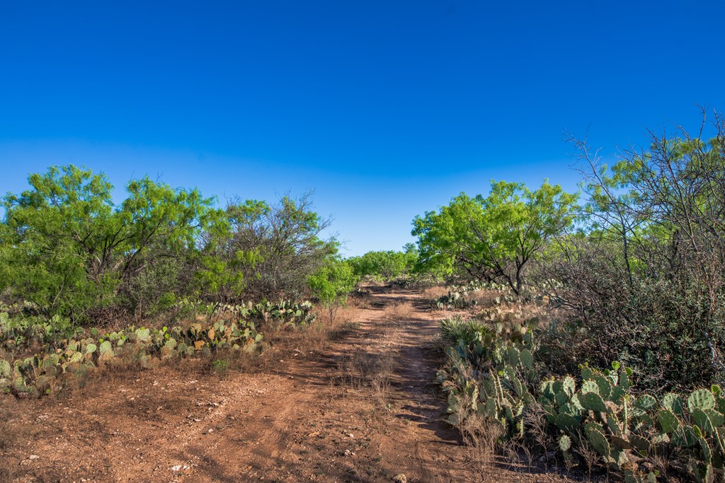 3980 S Other, Eden, Texas image 32