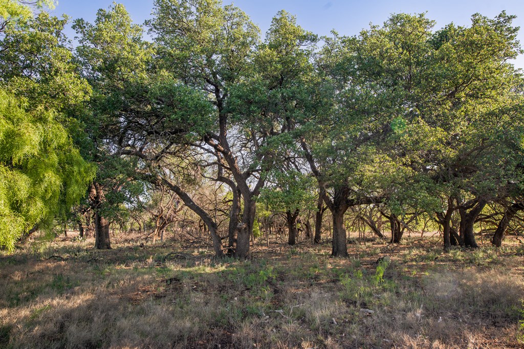 3980 S Other, Eden, Texas image 19