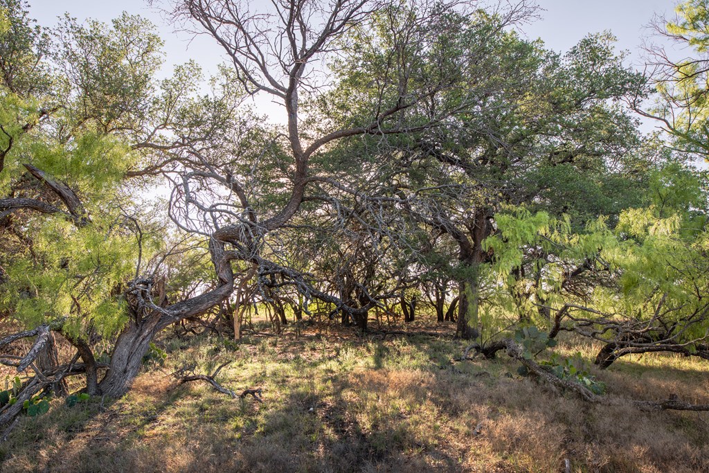 3980 S Other, Eden, Texas image 15