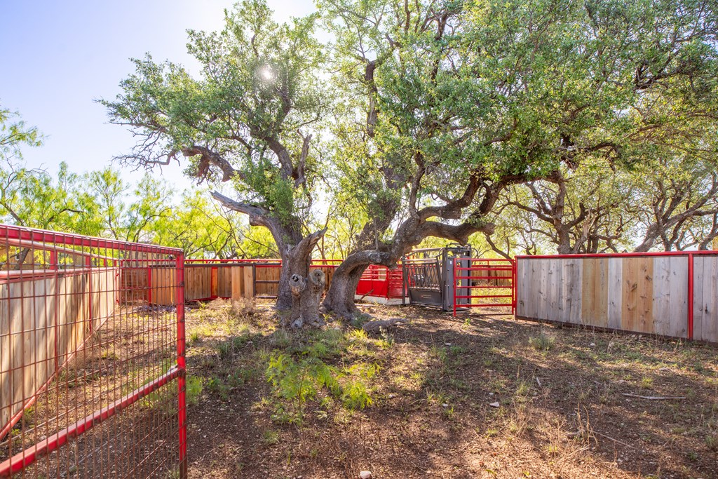 3980 S Other, Eden, Texas image 50