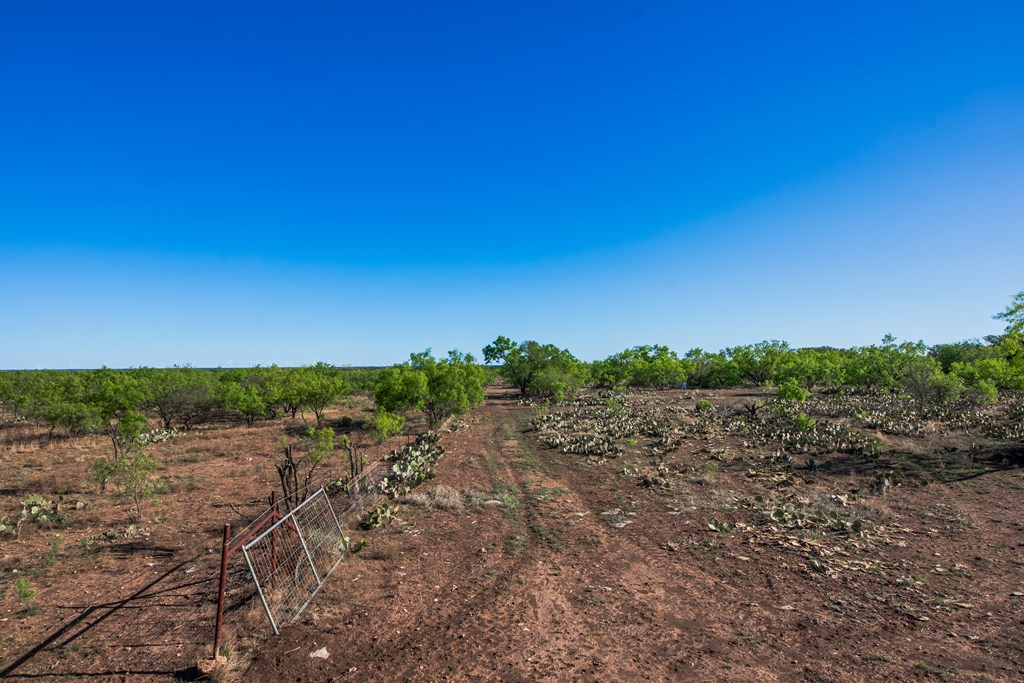 3980 S Other, Eden, Texas image 37