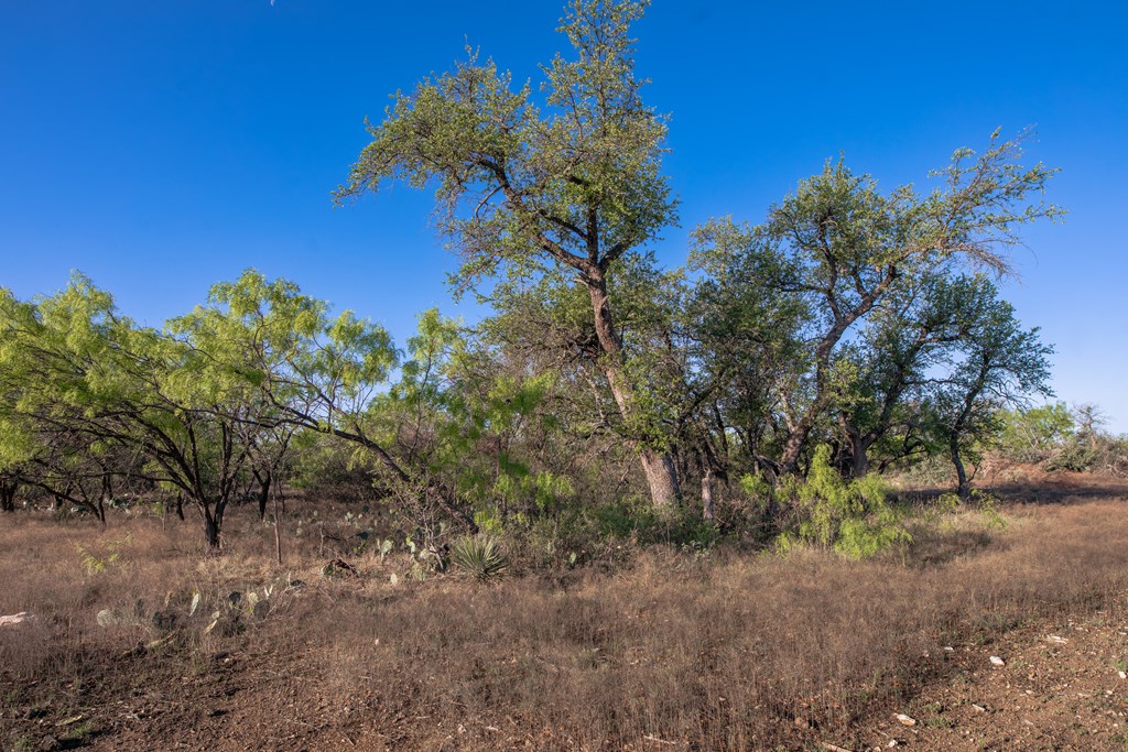 3980 S Other, Eden, Texas image 3