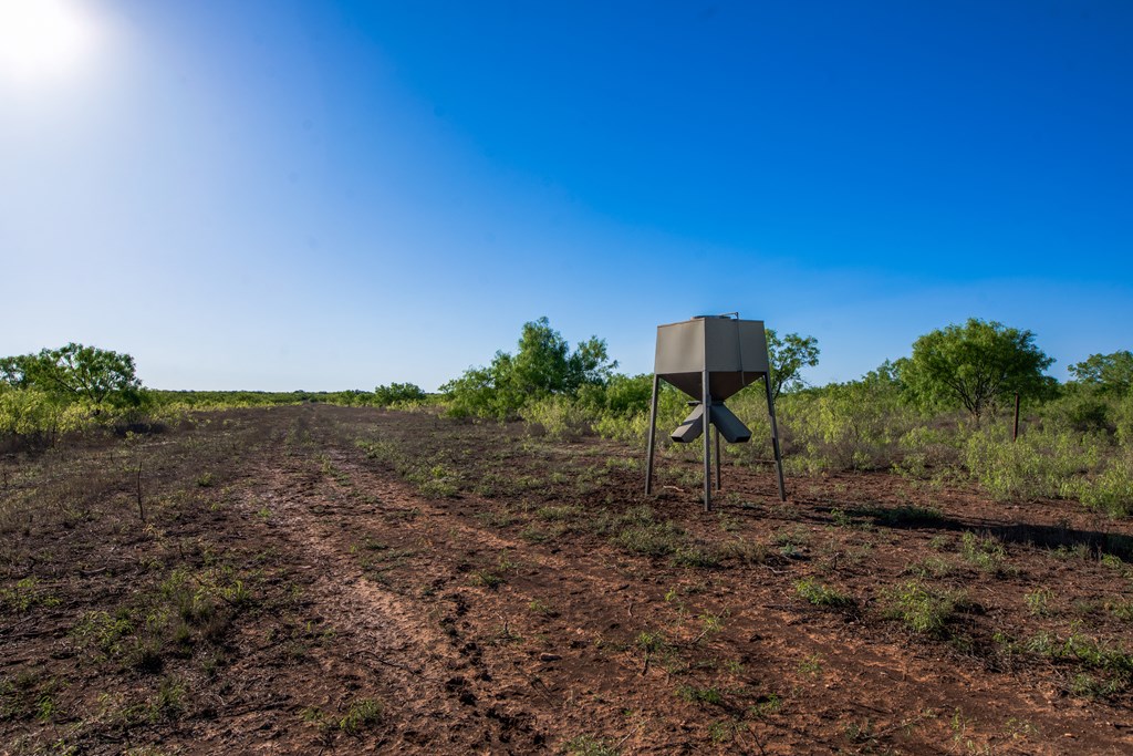 3980 S Other, Eden, Texas image 24