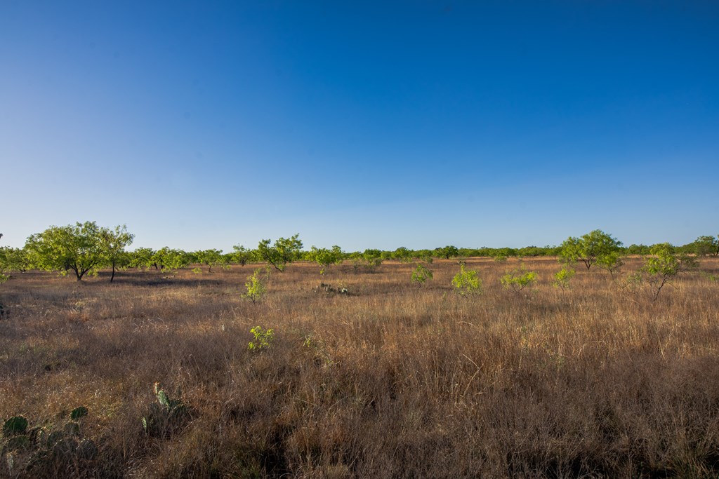 3980 S Other, Eden, Texas image 11