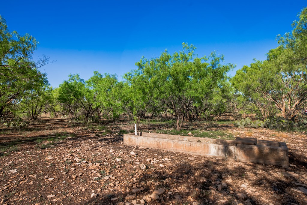 3980 S Other, Eden, Texas image 42