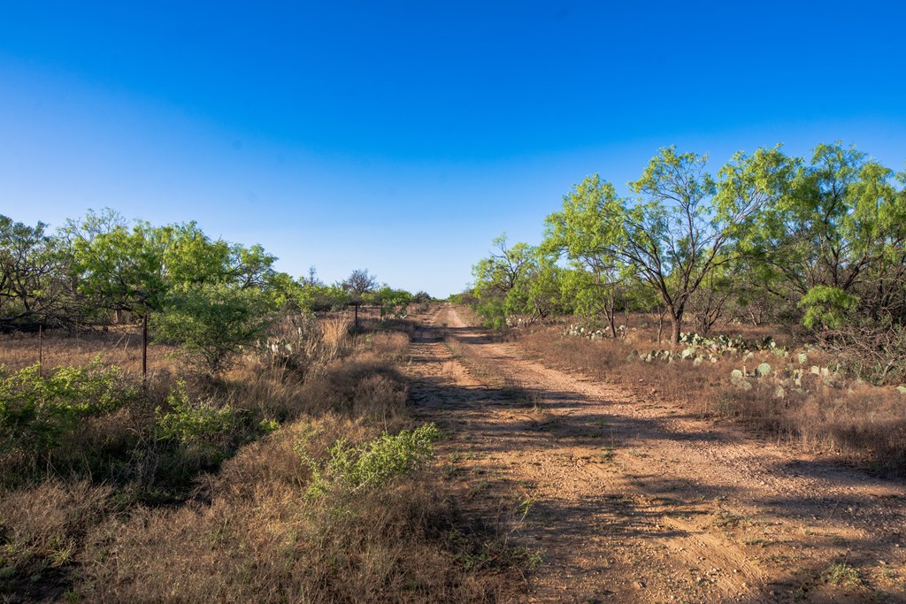 3980 S Other, Eden, Texas image 2