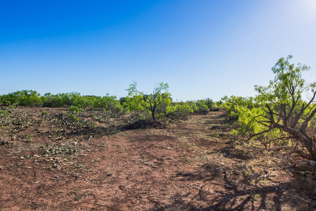 3980 S Other, Eden, Texas image 38
