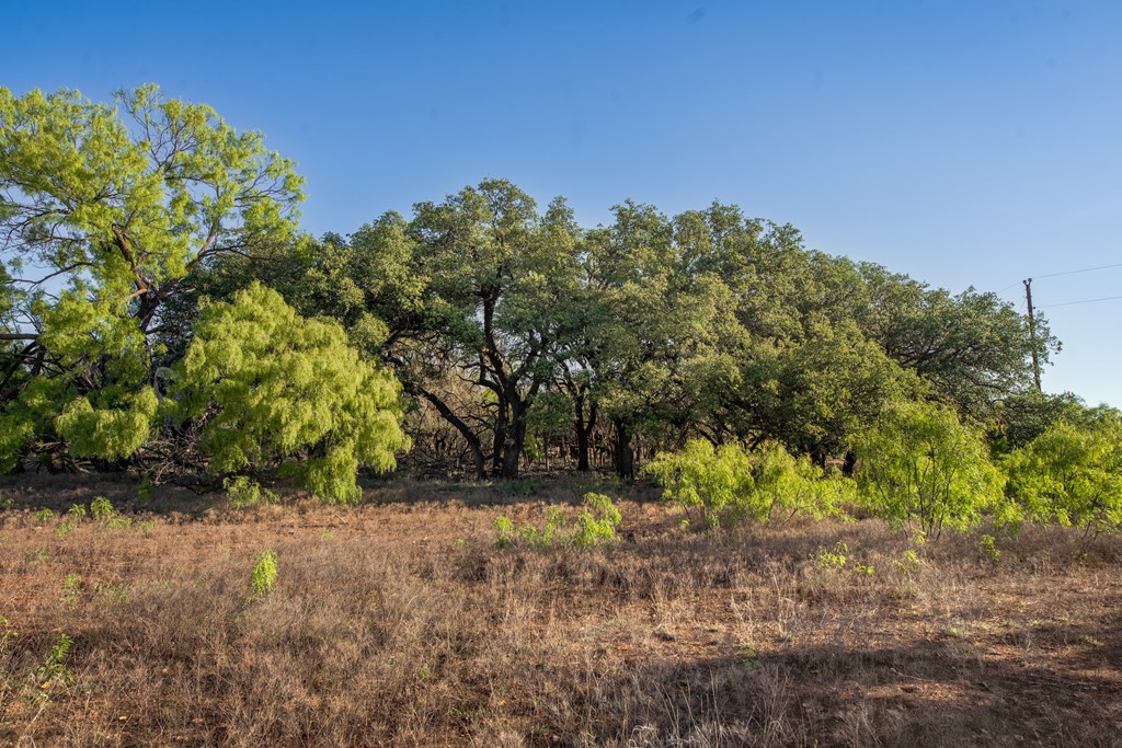 3980 S Other, Eden, Texas image 18